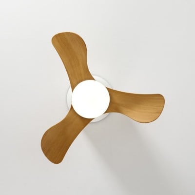 Ventilatore da soffitto con luci