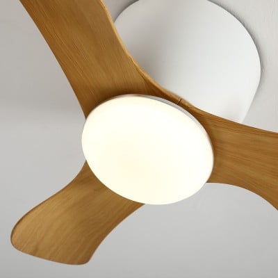 Ventilatore da soffitto con luci