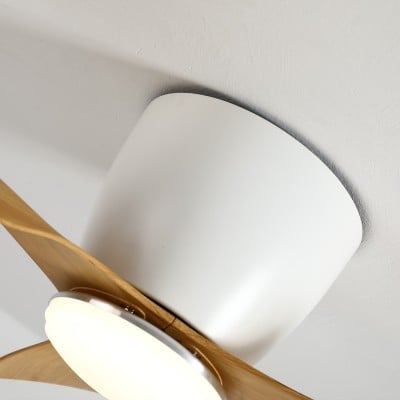 Ventilatore da soffitto con luci