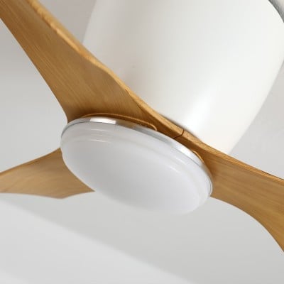 Ventilatore da soffitto con luci