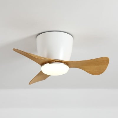 Ventilatore da soffitto con luci