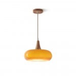 Clinco Elegant Metal Pendant Lamp Featuring Nested Shade Design S250