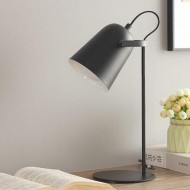 Lebendige Tischleuchte