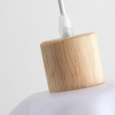 Petal Pendant Light - Modern Acrylic and Wood Dining Room S400