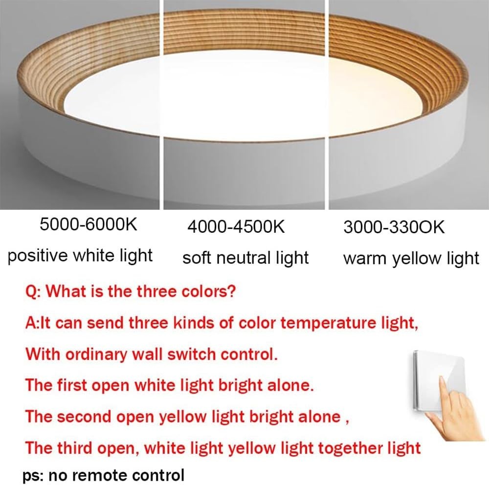 Cedronis Minimalist LED Round Ceiling Light T153