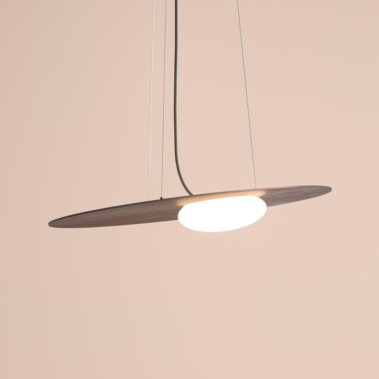 Modern Creative Suspended Pendant Lamp M545