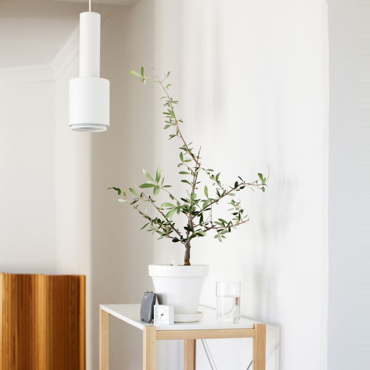 Modern Hand Grenade Pendant Light – Steel Design for Dining Room