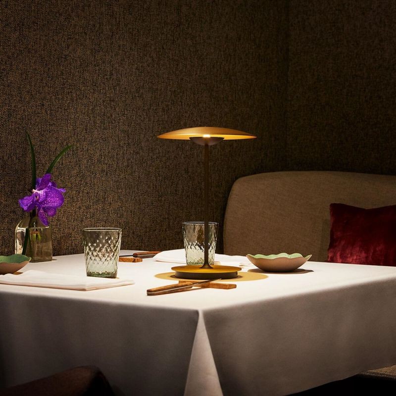Indoor Portable GINGER 20 Table Lamp
