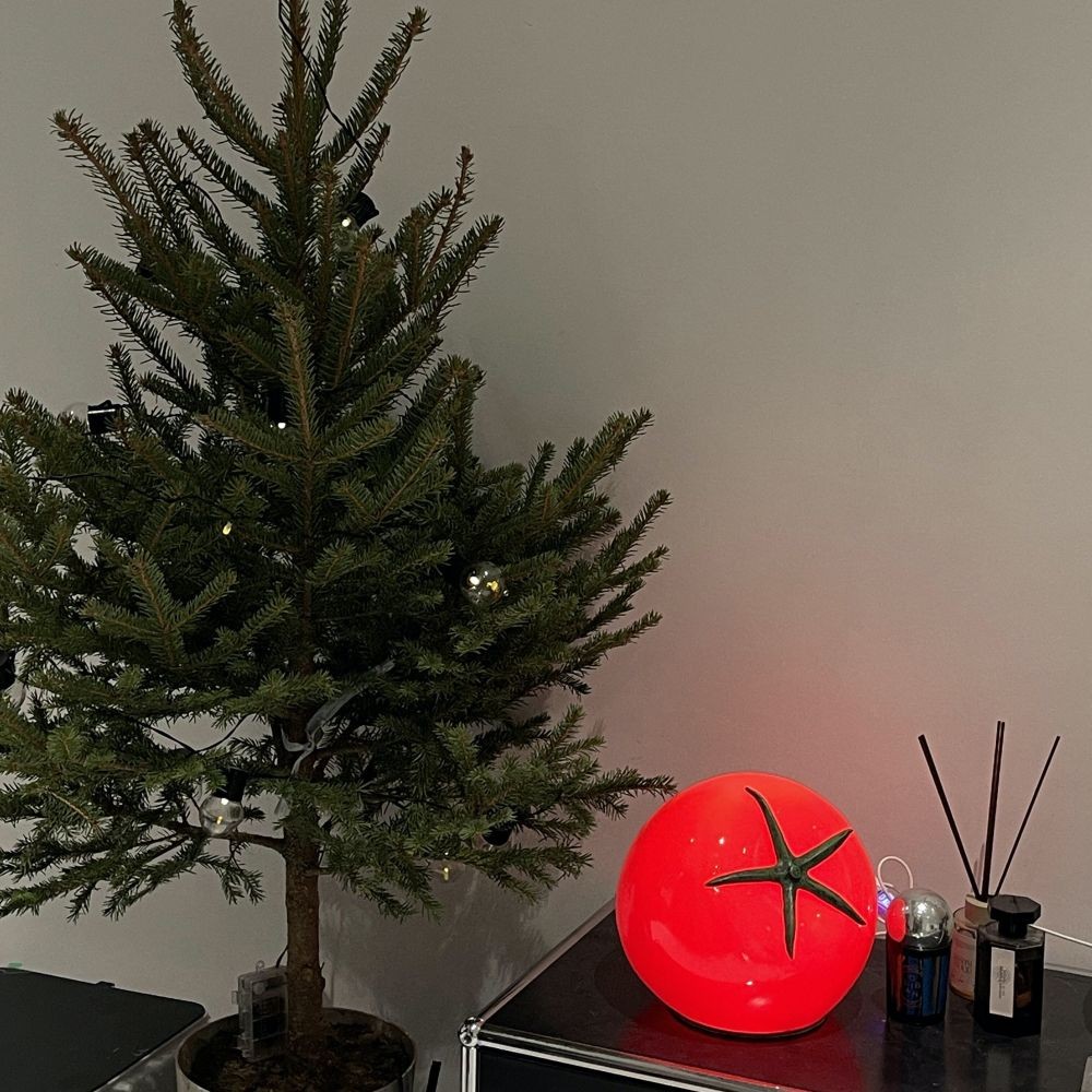 Creative LED Tomato Table Lamp S83