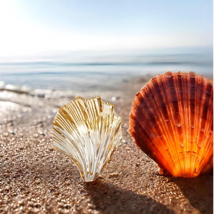 Shell Wall Light S172