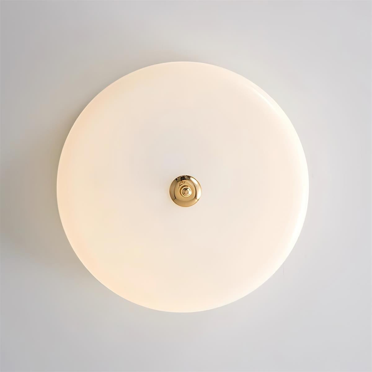 Rowen Ceiling Light T1229