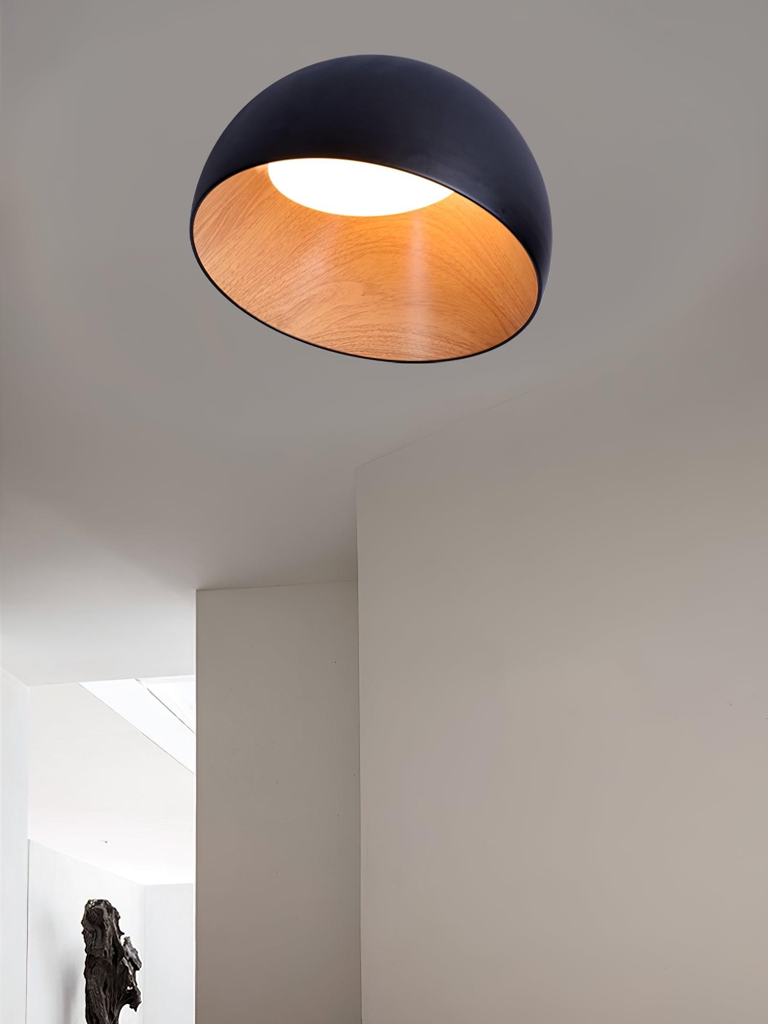 Simple Modern Nordic LED Eggshell Ceiling Lamp M284