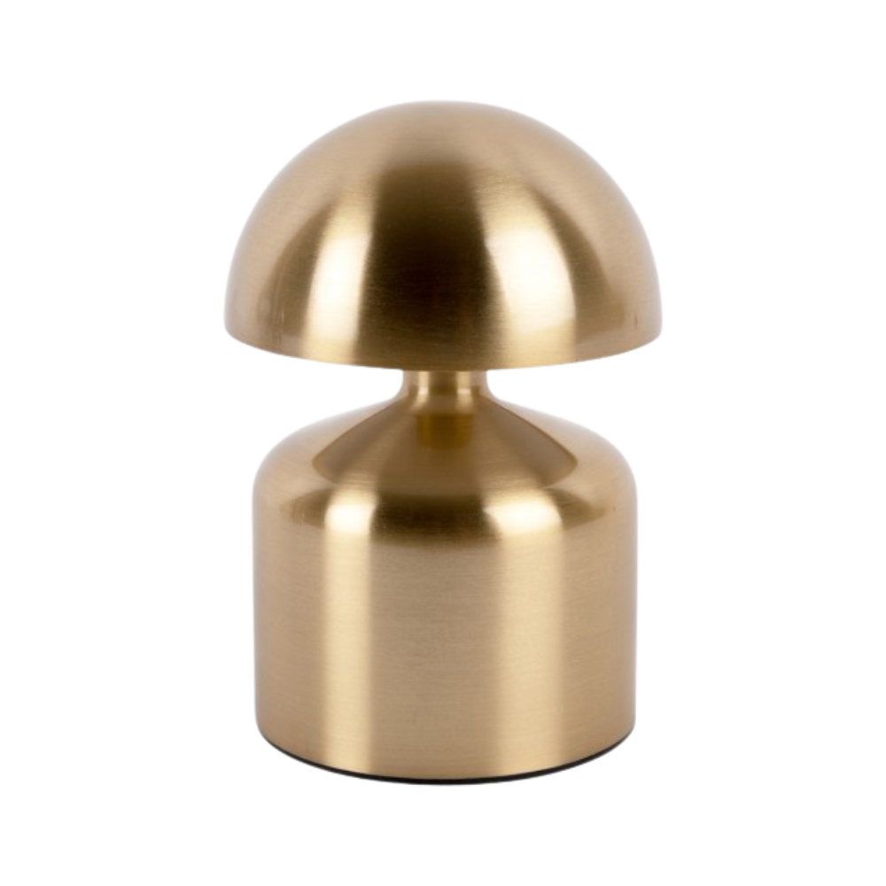 Luminous Nikkel Shine T2068