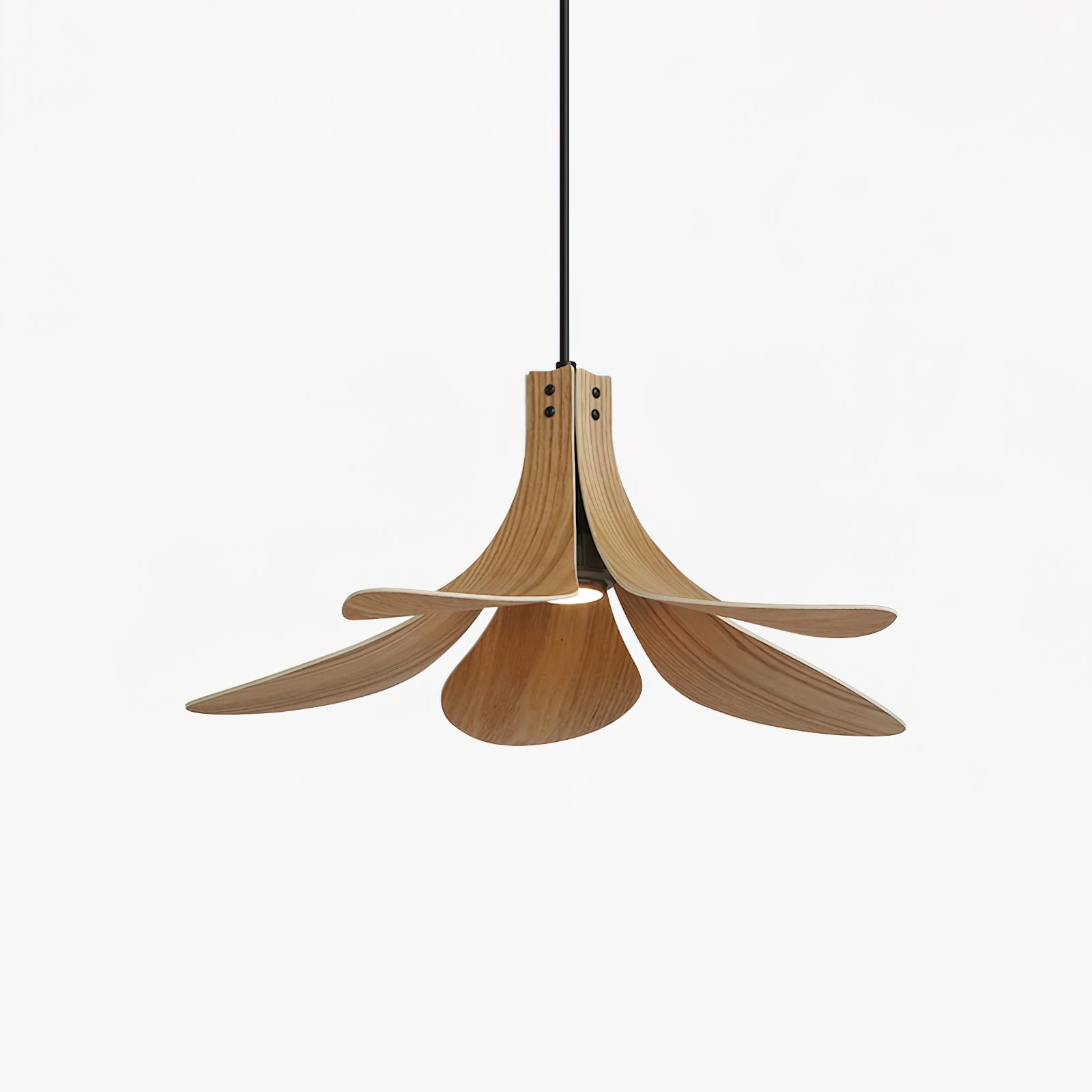 Petanova Pendant Lamp T1382