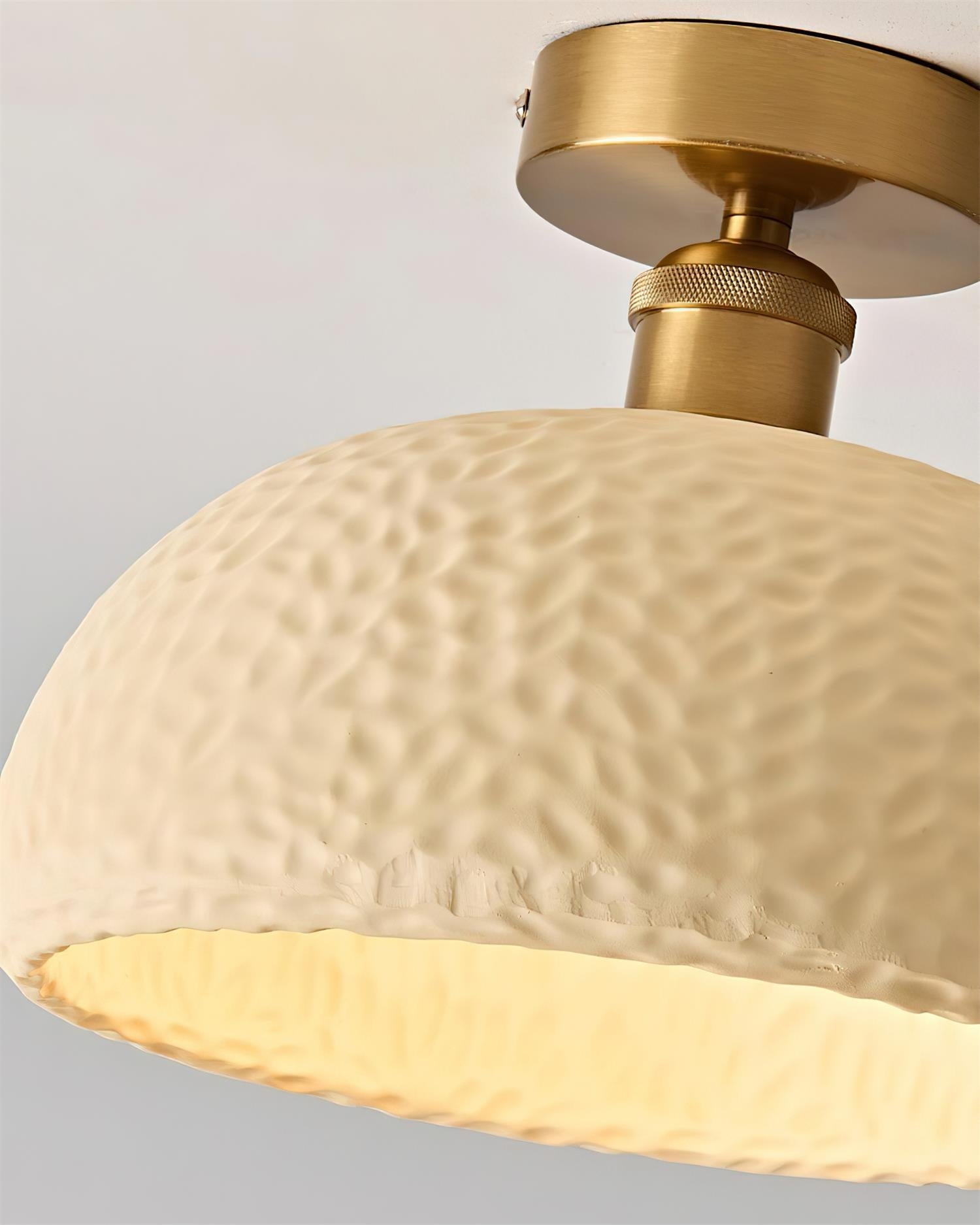 Moss Glow Ceiling Lamp T1409