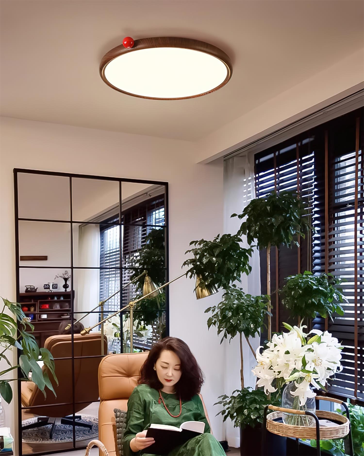 Geos LED Ceiling Light T1233
