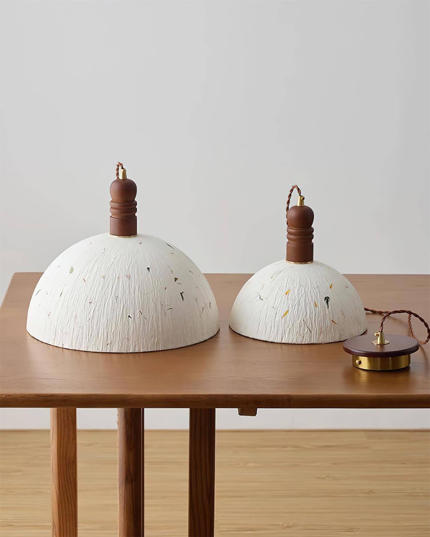 Sylvane Dome Pendant Lamp T1416