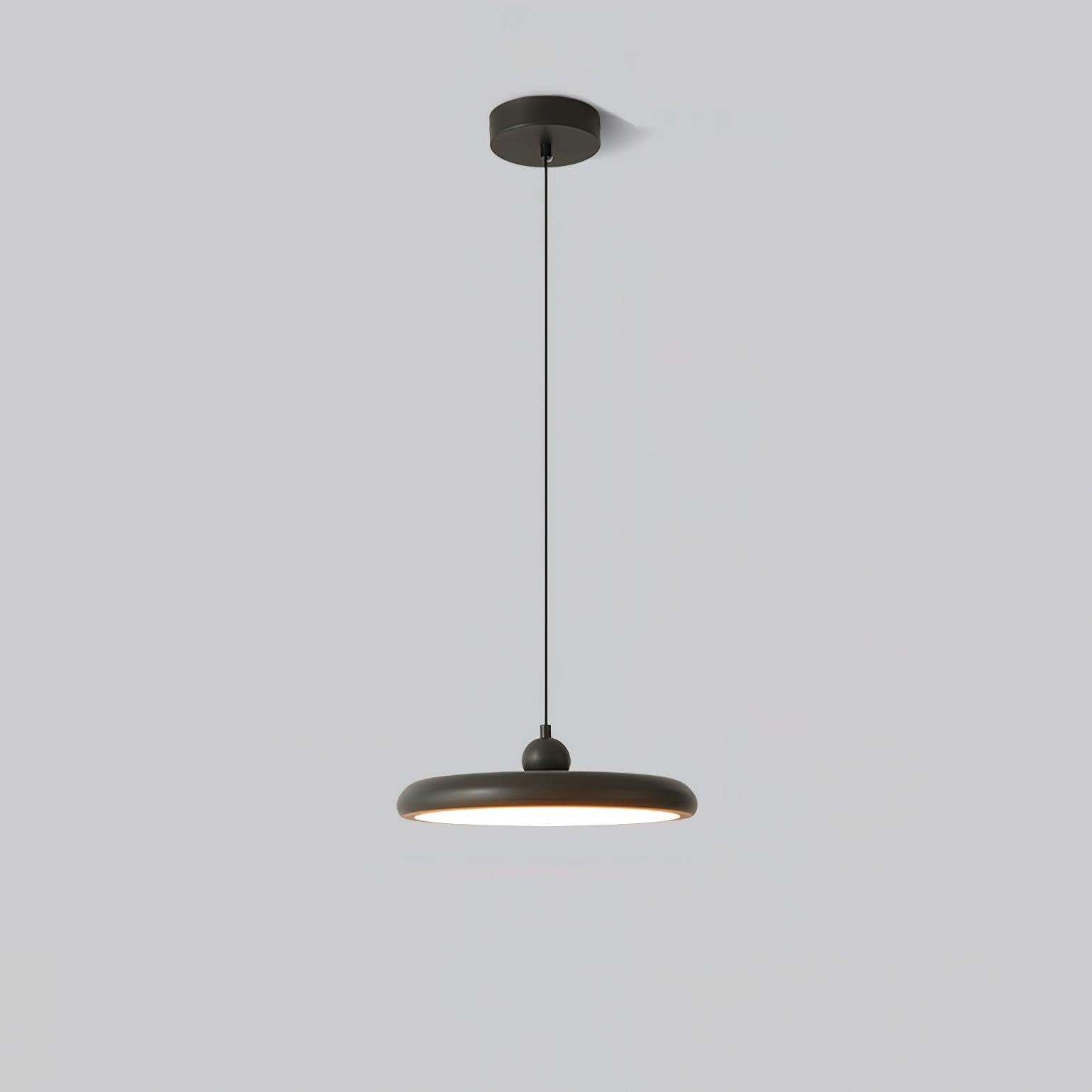 Thin Disc Pendant Lamp M404