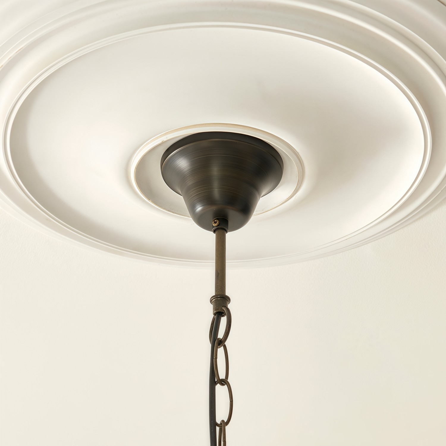 TF Botanica Floral Glass Pendant Light - Vintage Pendant Fixture for Open Plan Spaces T991