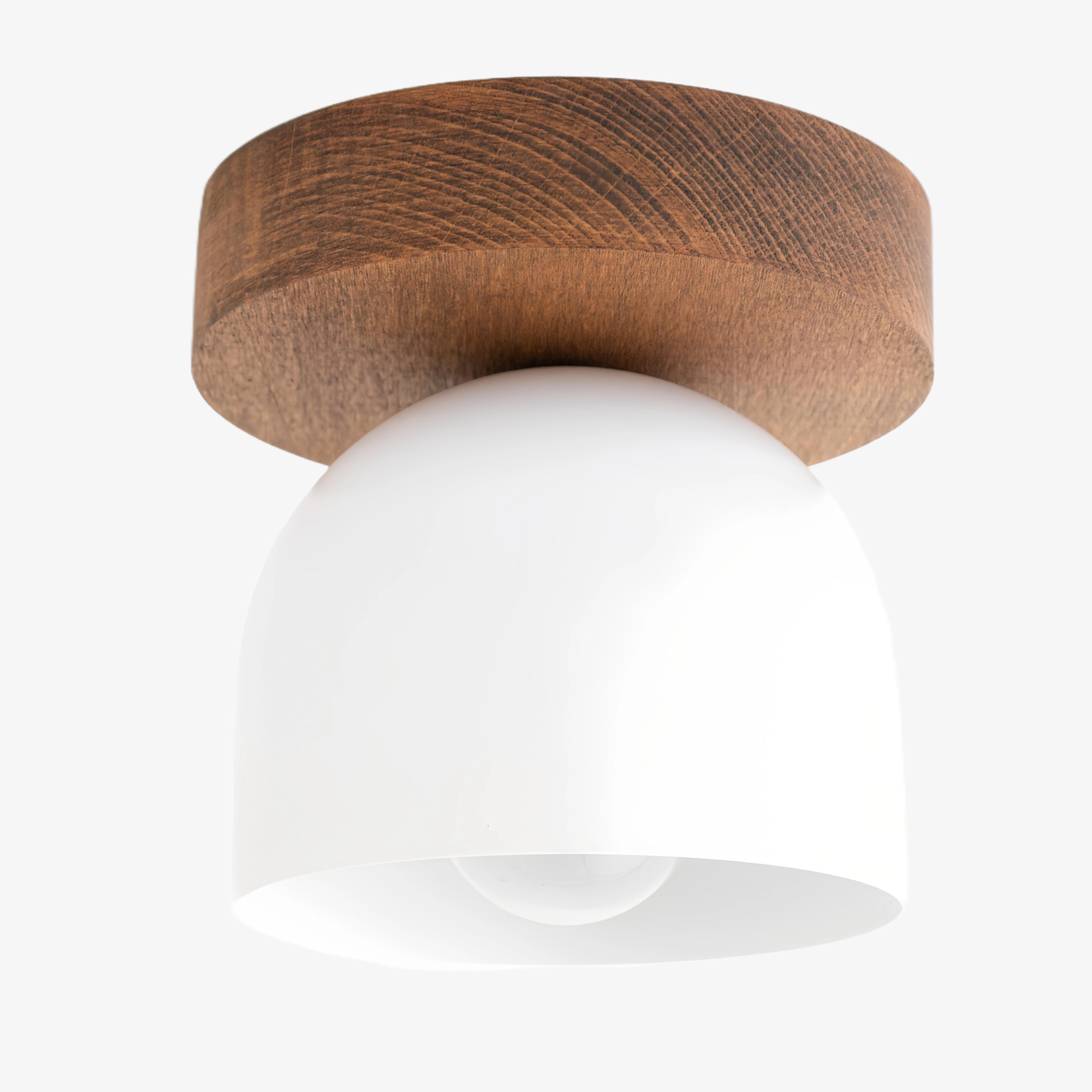 Metio Dome Modern Rustic Ceiling Light - Wooden and Metal Fusion T372