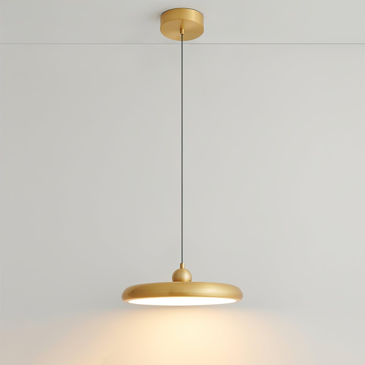 Thin Disc Pendant Lamp M404