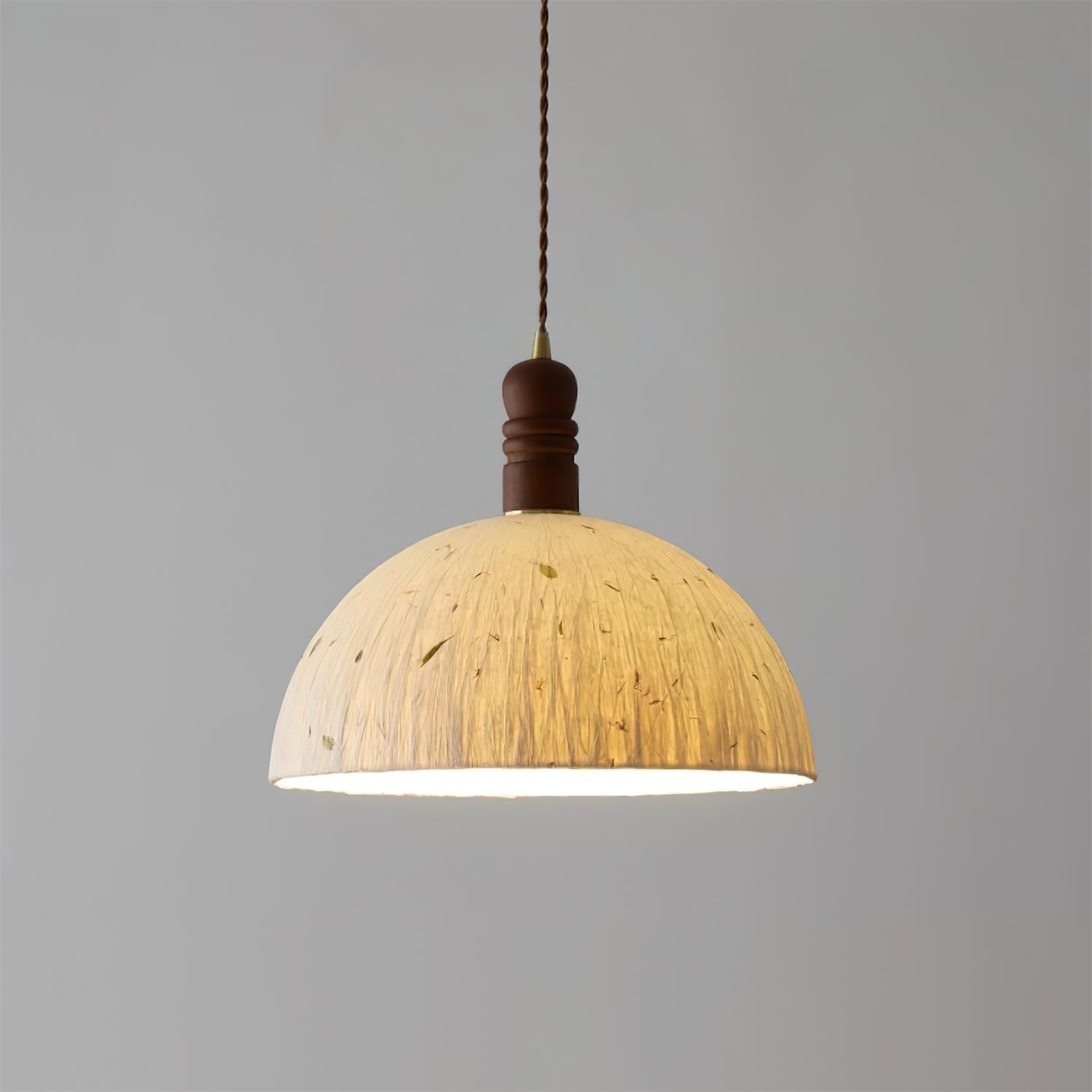 Sylvane Dome Pendant Lamp T1416