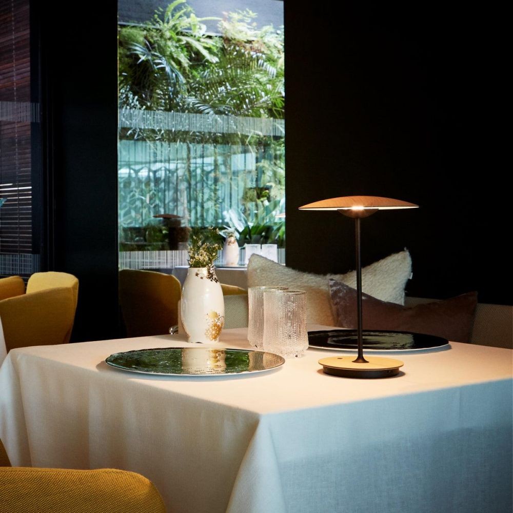 Indoor Portable GINGER 20 Table Lamp