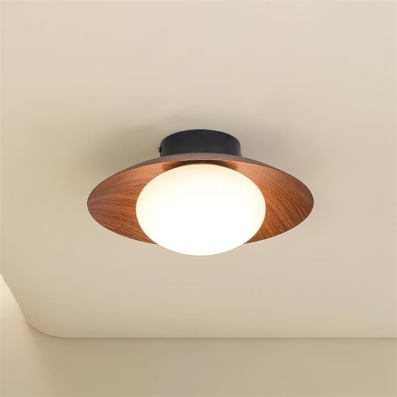 Dawn Creative Simplicity Ceiling Light M59