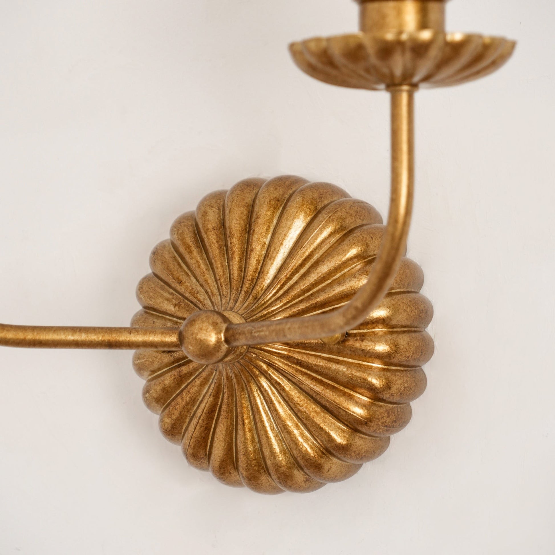 Catina Clove Wall Sconce Double T430