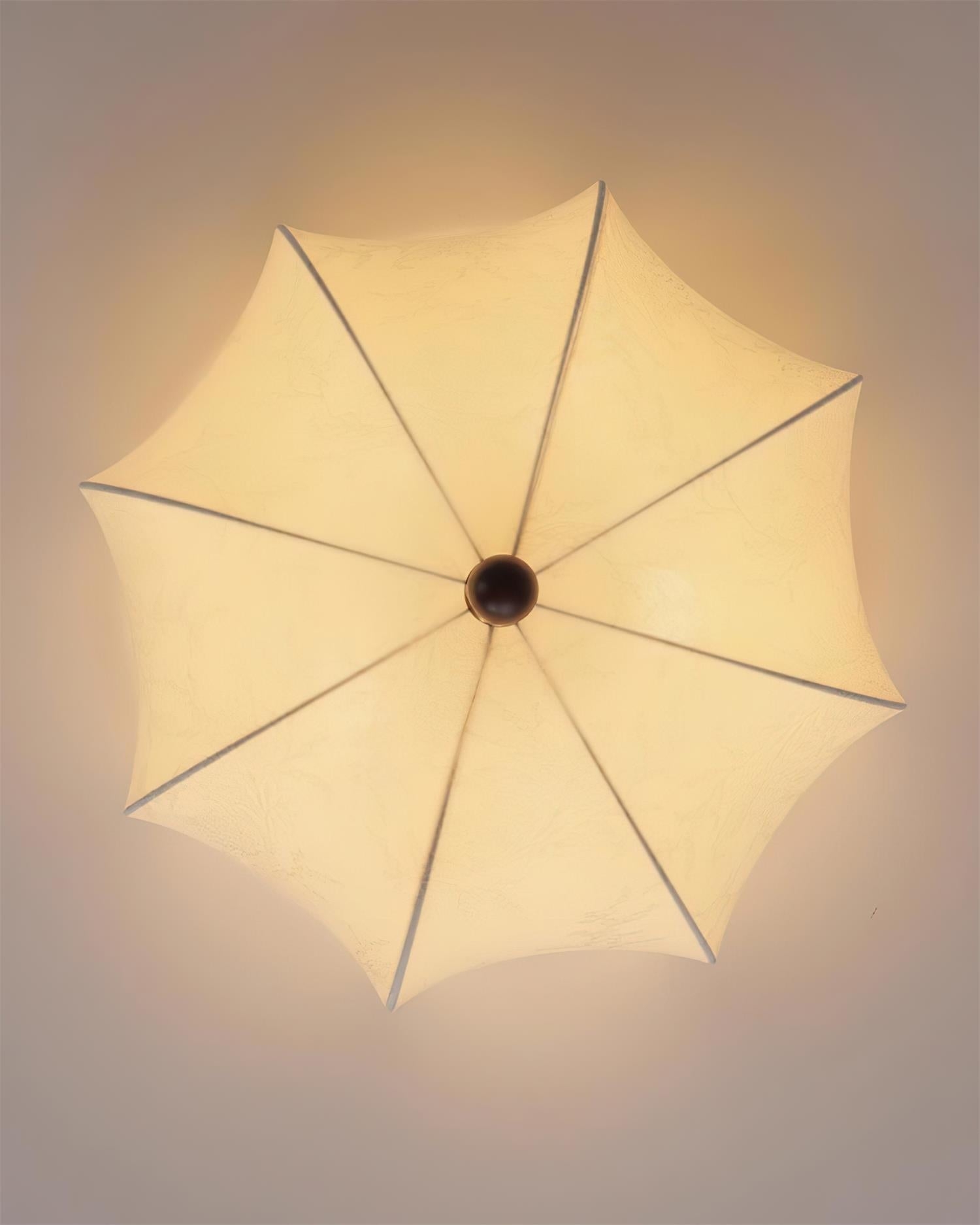 Graceful Drift Ceiling Lamp T1437