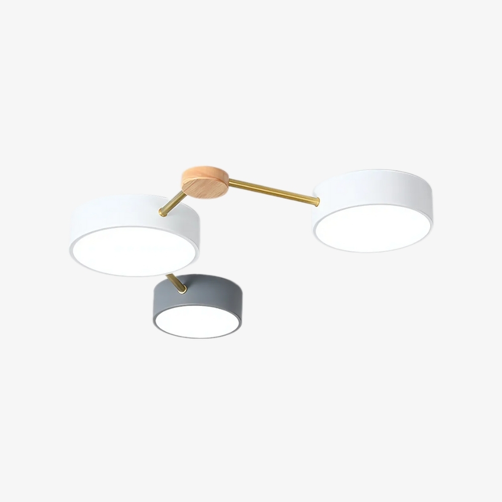 Contemporary LED Ceiling Lamp - Nordic Circle with Wood Branches for Bedroom S382