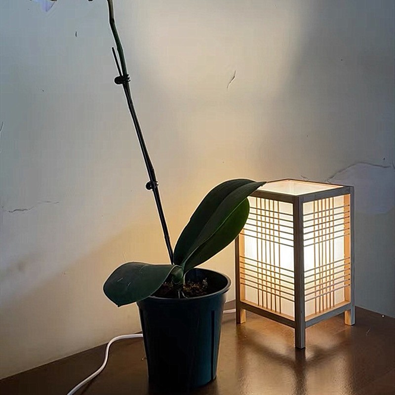 TATAMI Table Lamp
