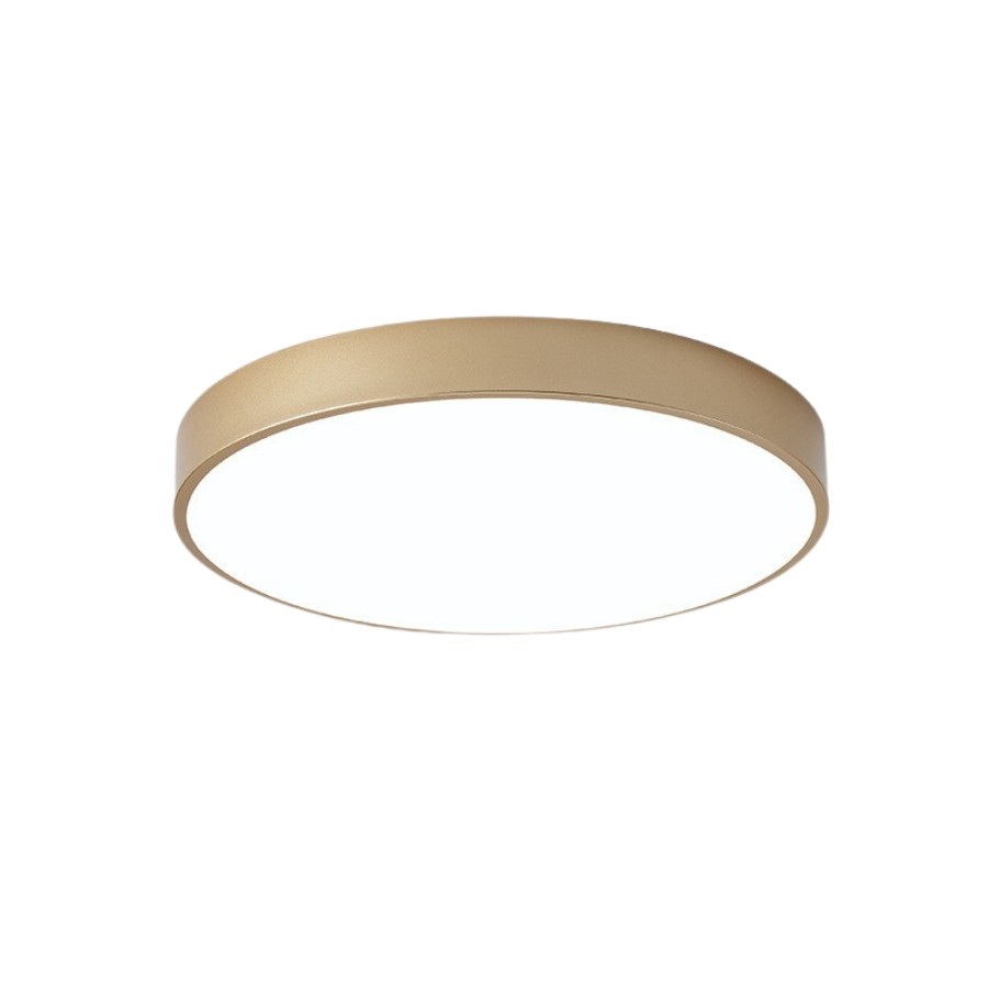 Morandi Macaron LED Dimmable Ceiling lamp S191