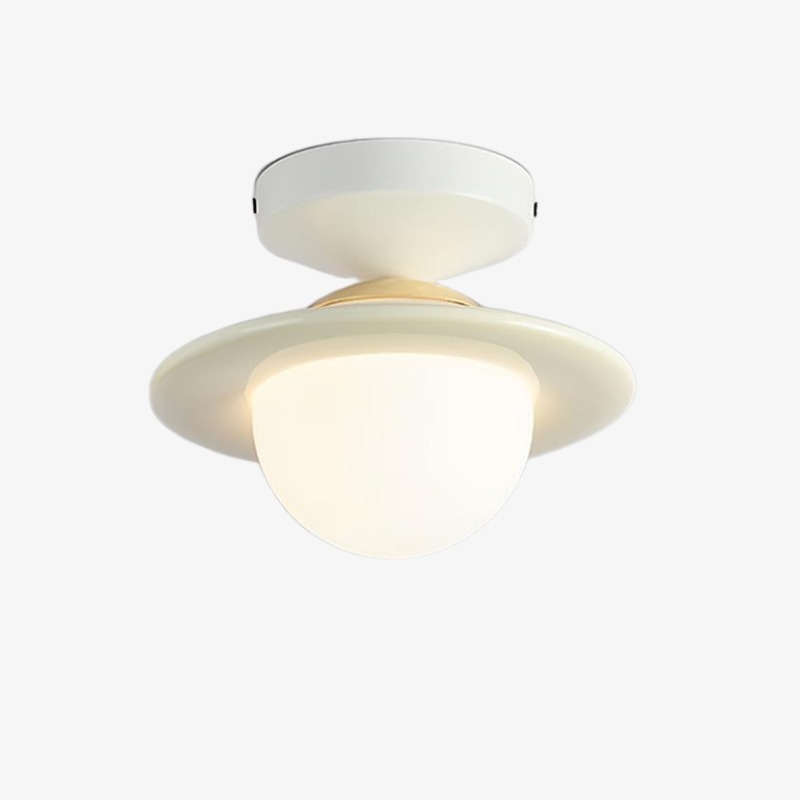 Olevira Modern Minimalist Colorful Ceiling Light - Mount for Bedroom or Living Room T1117