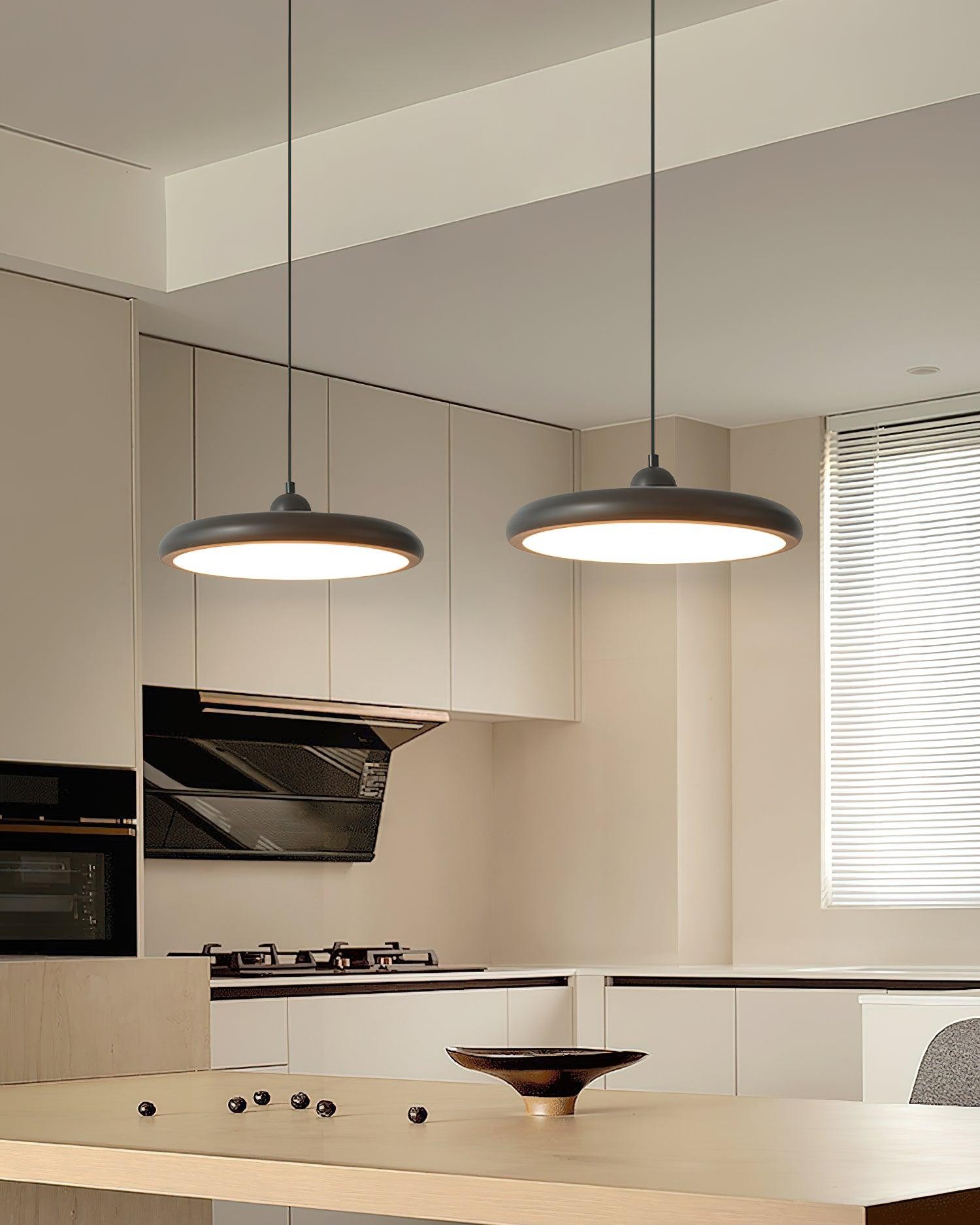 Thin Disc Pendant Lamp M404