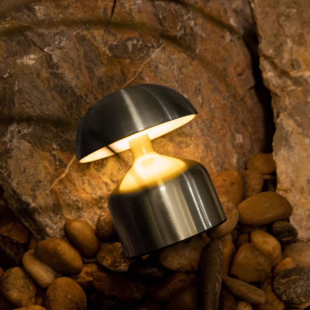Luminous Nikkel Shine T2068