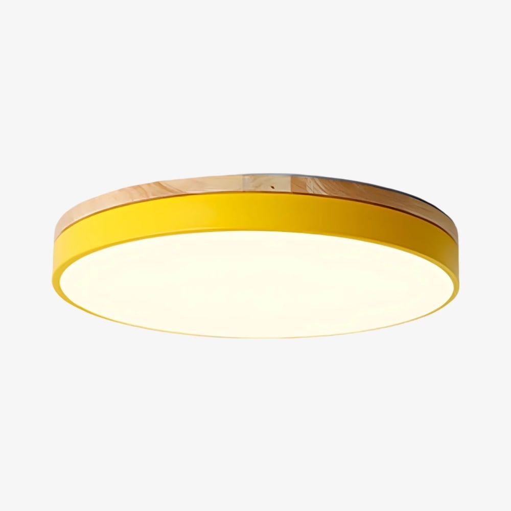 Cielora Round Flush Mount Ceiling Lamp Minimal Profile - Modern Interior Decor T509