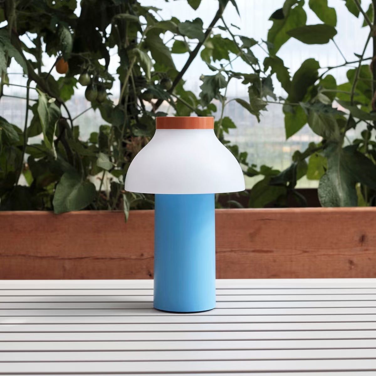 PC Portable Table Lamp (Built-in Battery) T1870