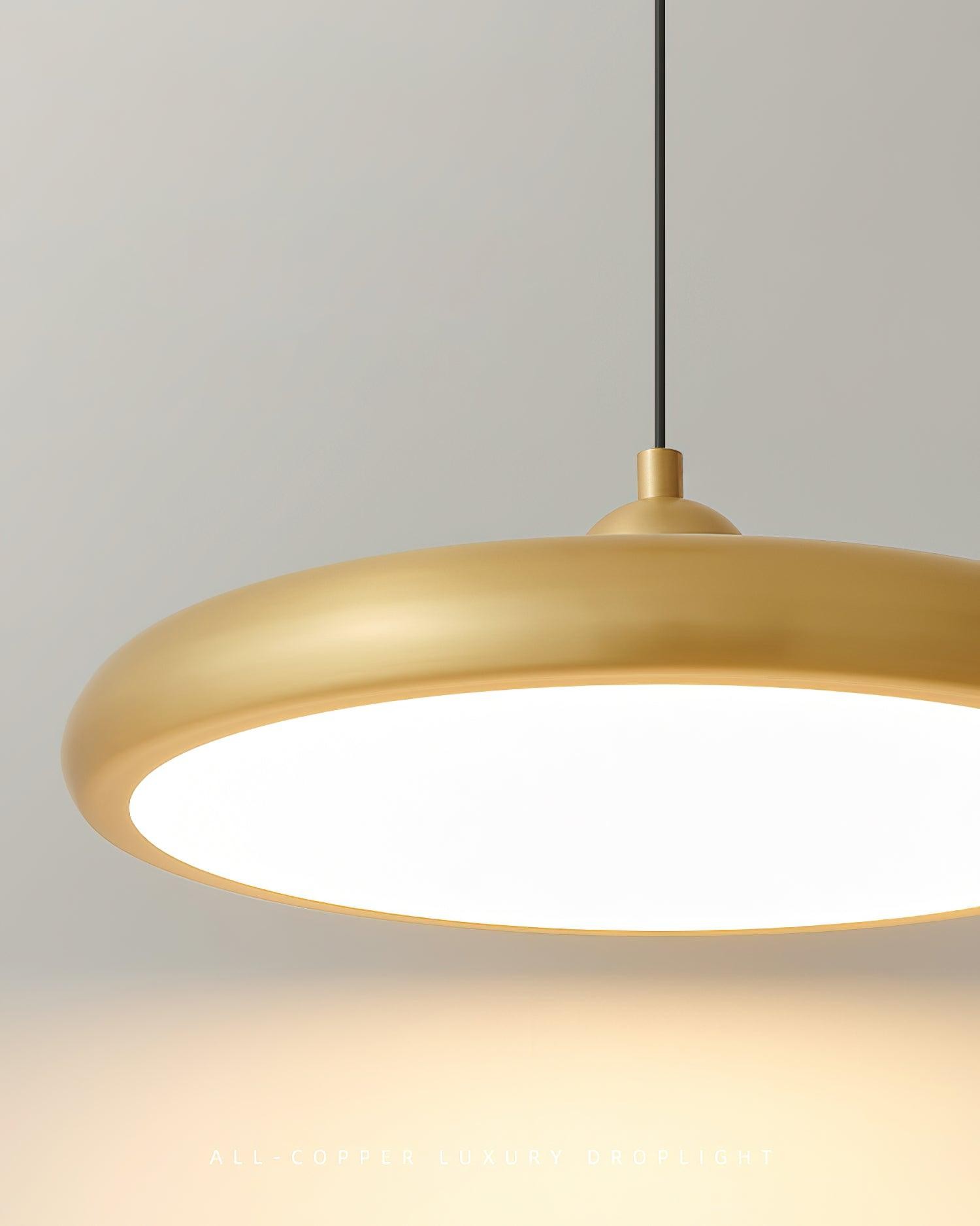 Thin Disc Pendant Lamp M404
