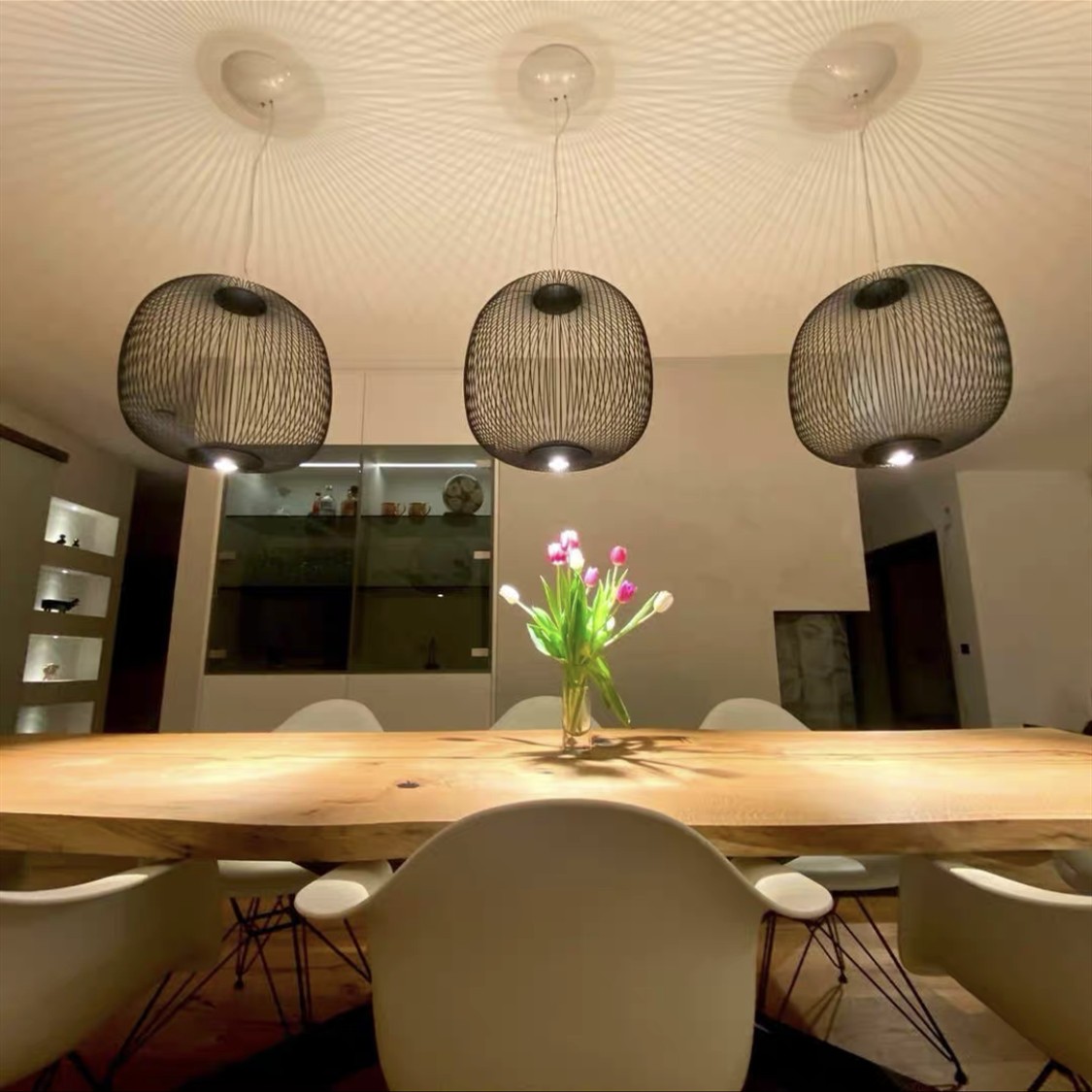 Radiloop Pendant Light - Minimalist Designer Lamp for Dining Area