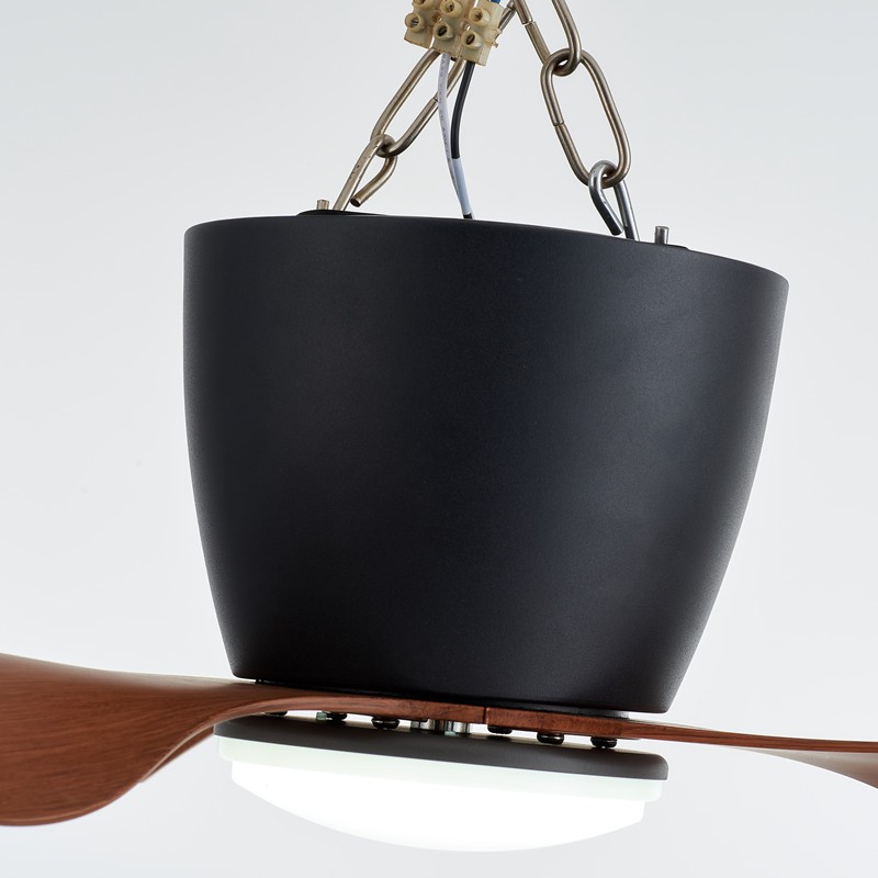 Ceiling Fan with Lights