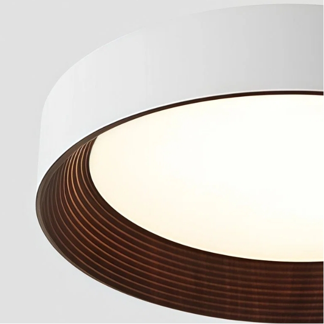 Crelina Contemporary Ceiling Light - Indoor Flush Fixture for Hallway and Dining Area U16