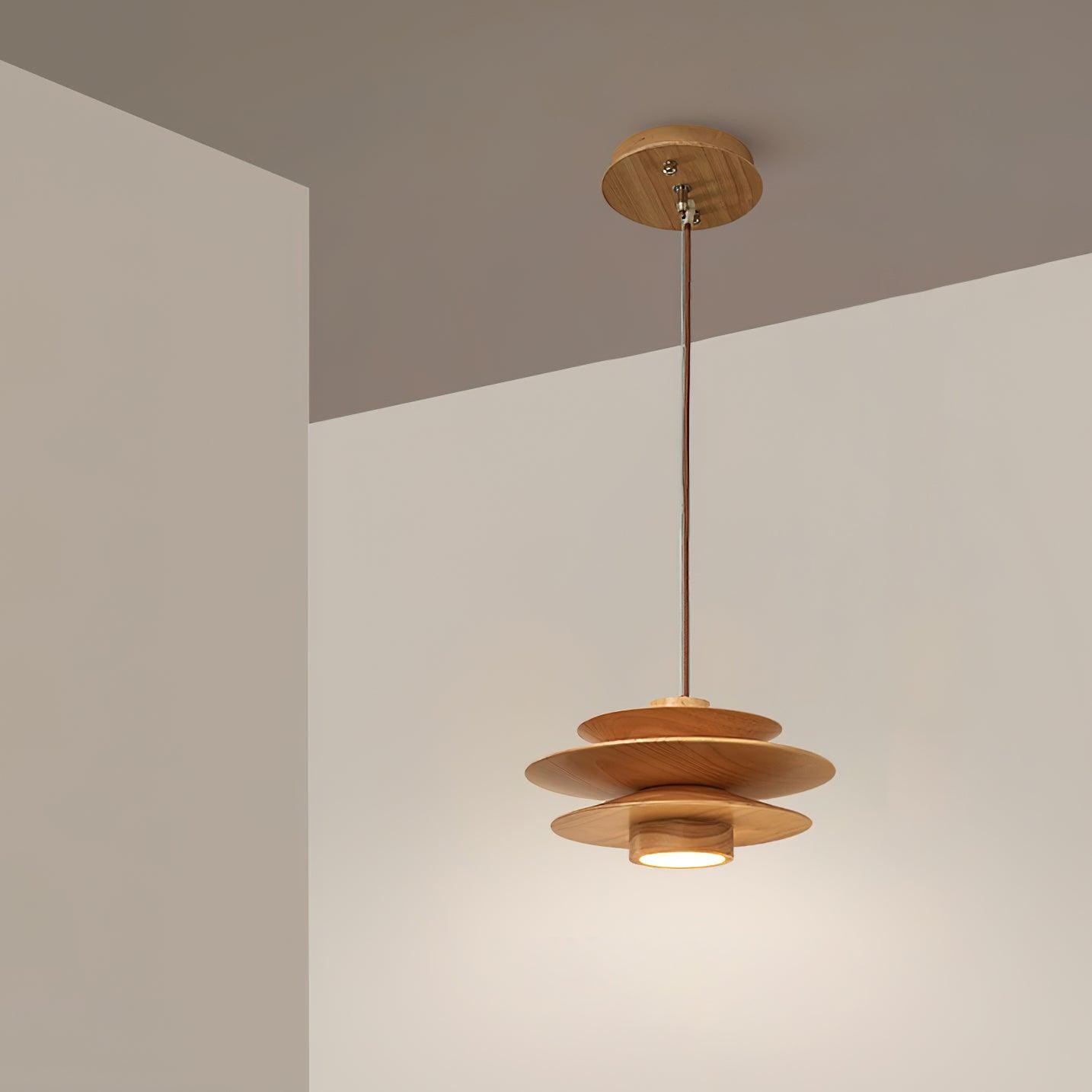 Vintage Pendant Light for Living Room M18