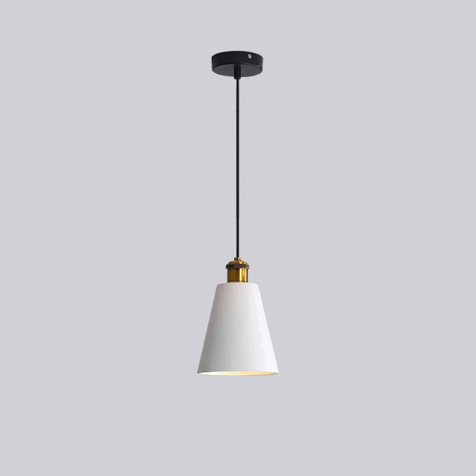 Modern Resin Geometric Pendant Lamp M326