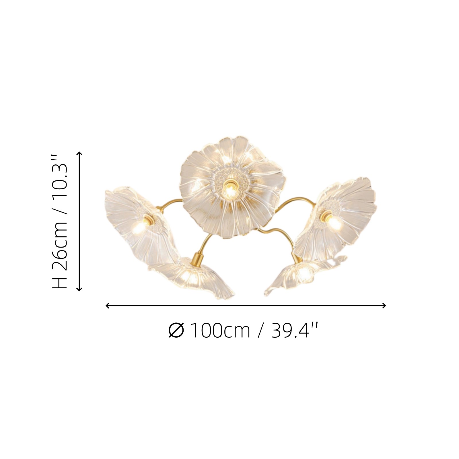 Murano Glass Flowers Ceiling Light P049