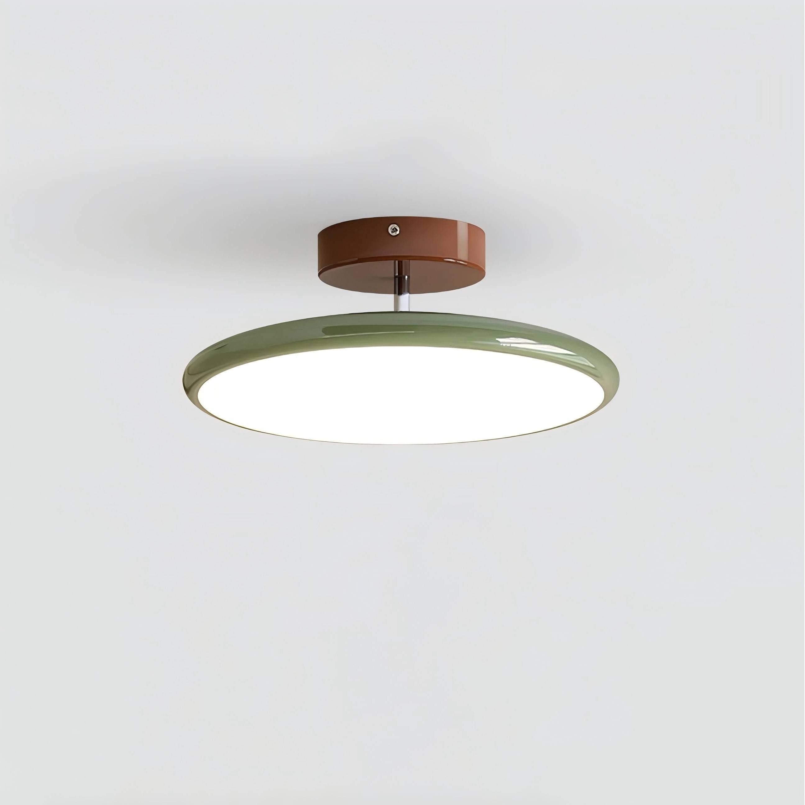 Modern Adjustable Disc Ceiling Lamp M266