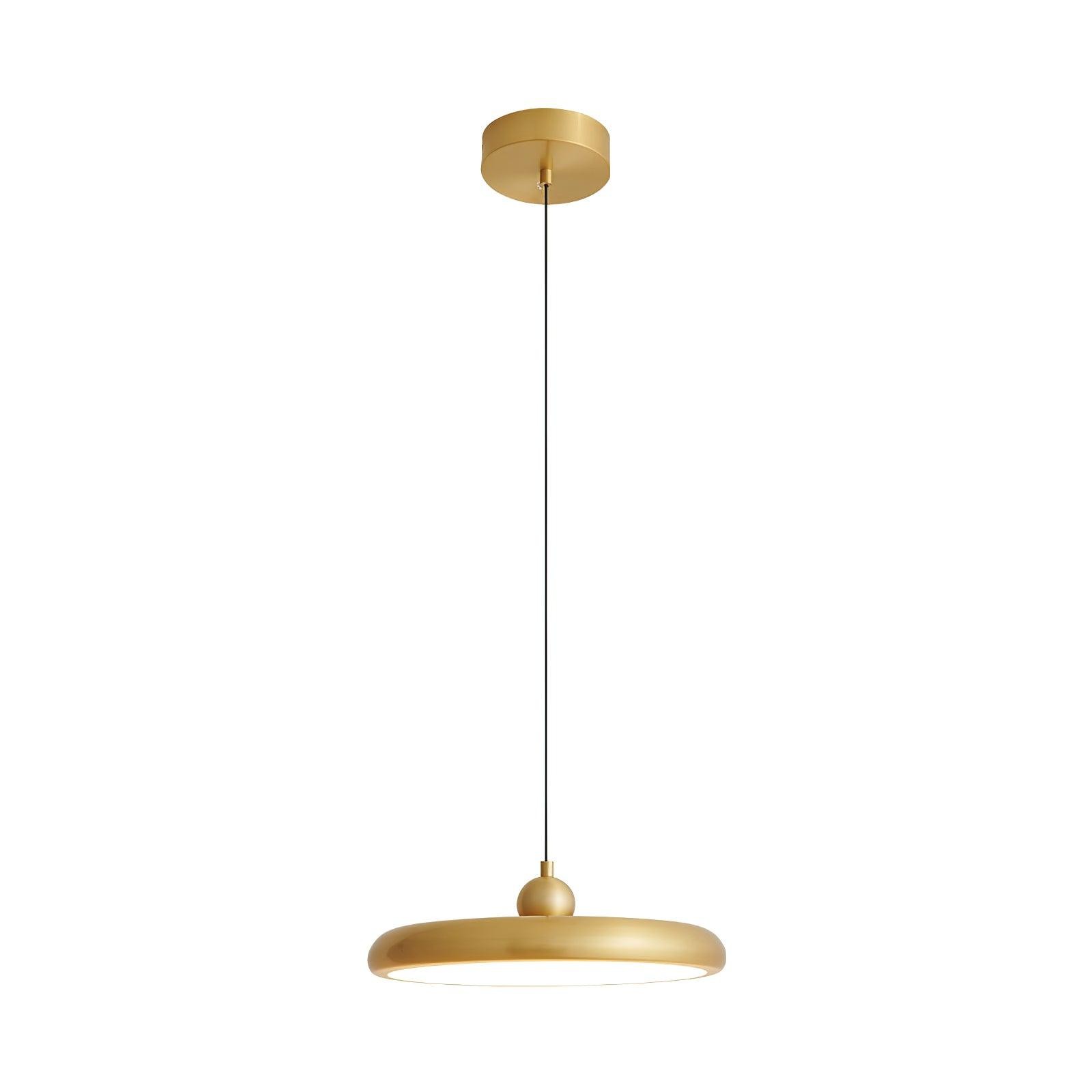 Thin Disc Pendant Lamp M404