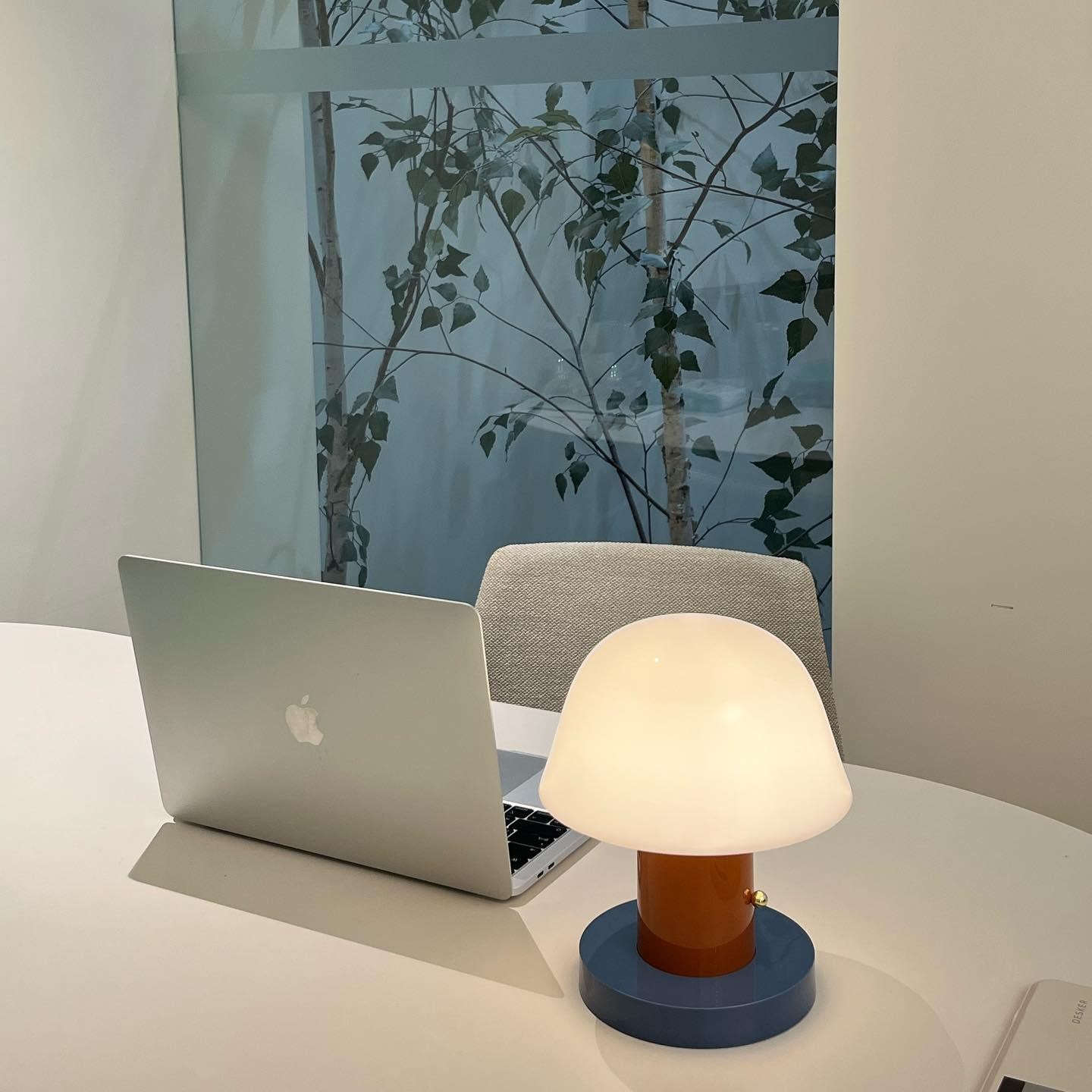 Minimalist Mushroom Cordless Table Lamp M528