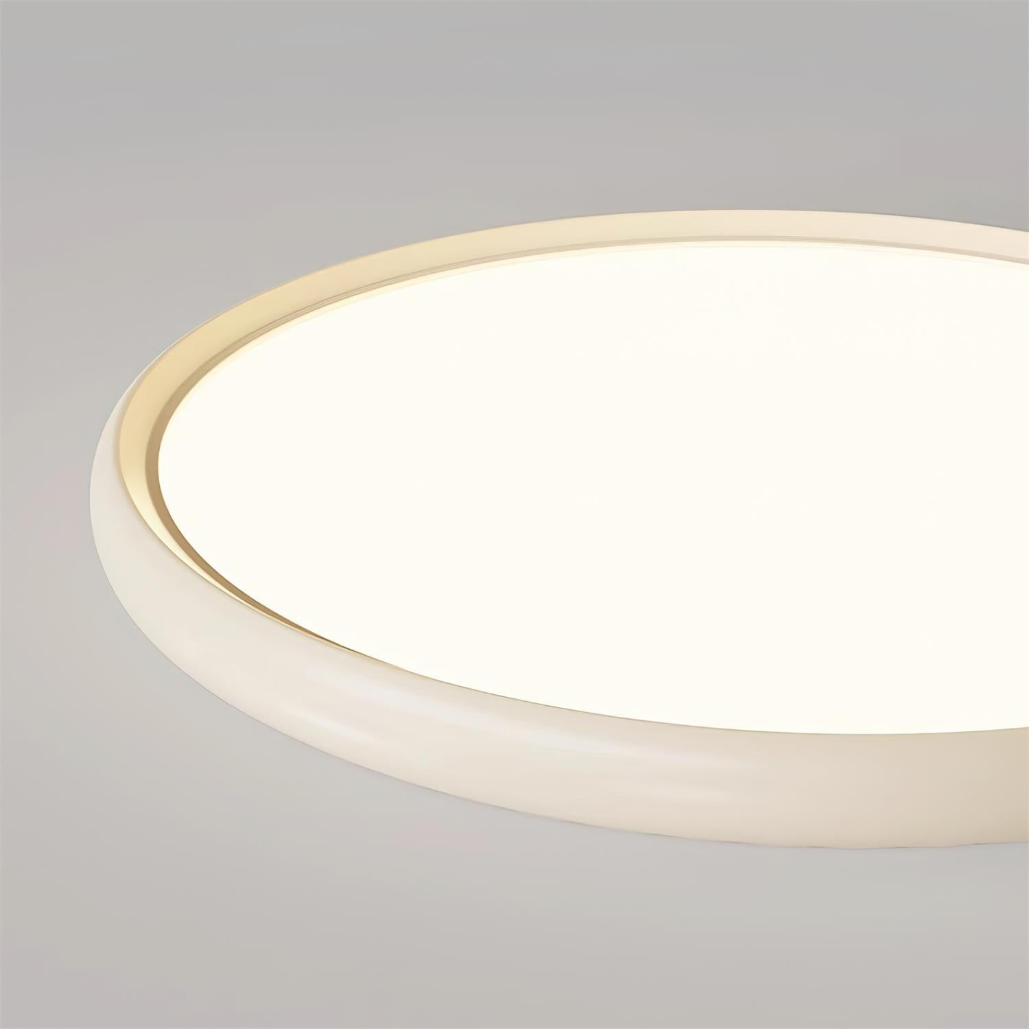 Geos LED Ceiling Light T1233