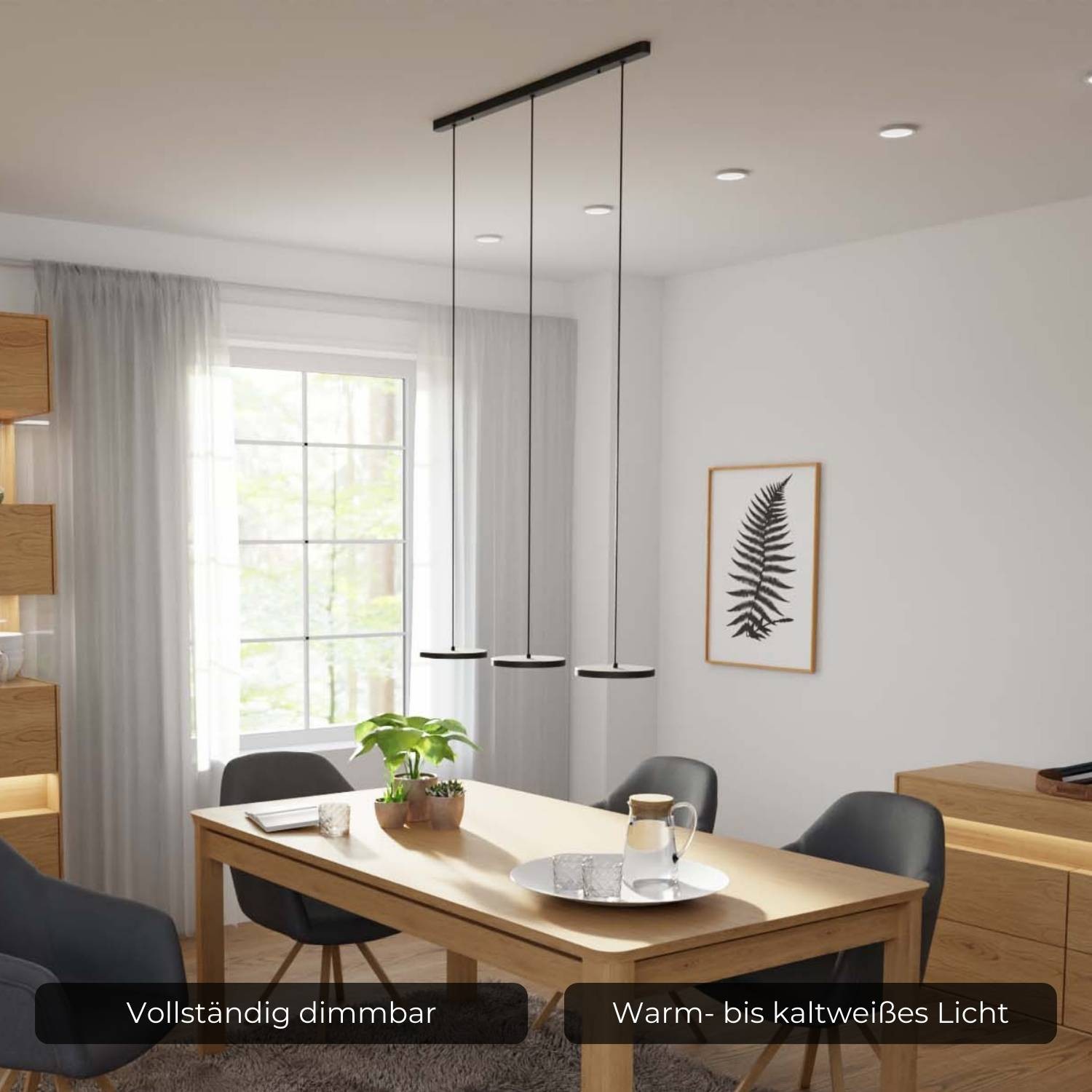 Evanos Designer Pendant Light G82
